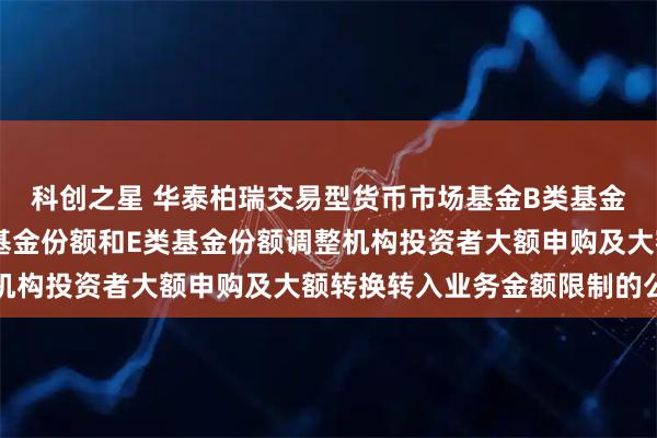 科创之星 华泰柏瑞交易型货币市场基金B类基金份额C类基金份额D类基金份额和E类基金份额调整机构投资者大额申购及大额转换转入业务金额限制的公告