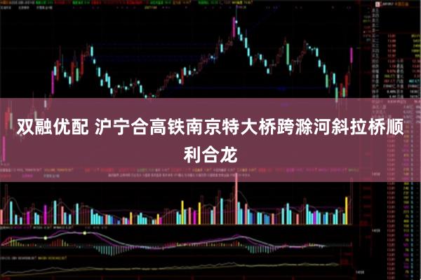双融优配 沪宁合高铁南京特大桥跨滁河斜拉桥顺利合龙